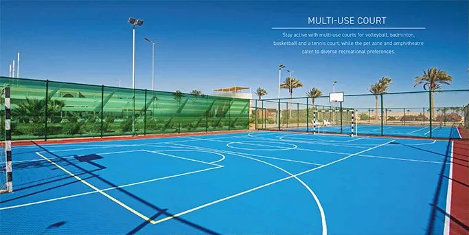 Multi-use court
